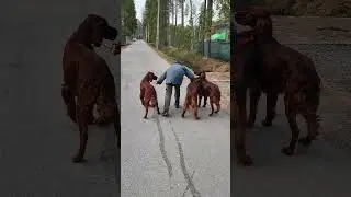 День 6й. Ребенок ведёт троих.