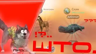 ГАВ! | ОТКРЫВАЮ 100 СУНДУКОВ💯! |ВЫПОЛНЯЮ ЕЖЕДНЕВНЫЕ ЗАДАНИЯ!🪤 |ЧТО МНЕ ВЫПАЛО.. удаляю Вайлд Крафт..