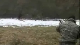Снежный человек в горах Ингушетии