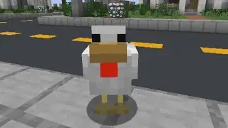 Why Did The Chicken Cross The Road