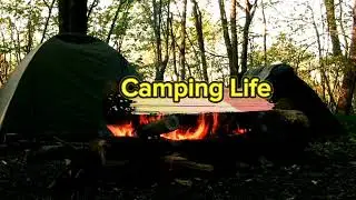 enjoy sound camping solo in forest