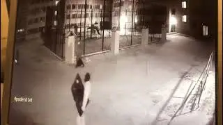ЧЕЛОВЕК в БЕЛОМ Кража