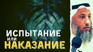 Испытание или наказание? Как узнать ? Шейх Усман аль Хамис