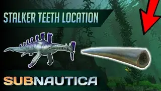 How to get Stalker Teeth in Subnautica. (UPDATED)