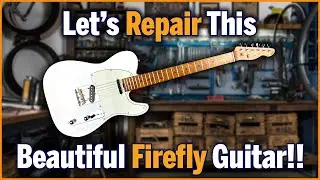 Let's Fix This Beautiful Firefly Guitar