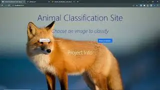 Animal classification system for the web using TensorFlow and Django