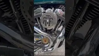 2001 1200 sportster transformation 