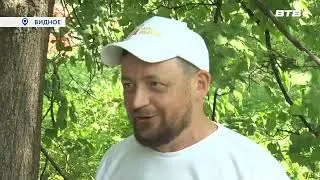 ЧИСТЫЙ ЛЕС