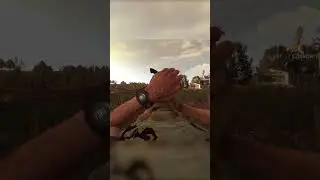 Странная концовка  #перезалив