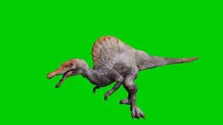 dinosaur green screen 4k, dinosaur running green screen, green screen dinosaur video