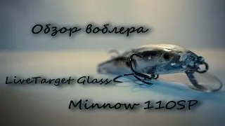 Обзор воблера LiveTarget Glass Minnow 110 SP(часть 1)