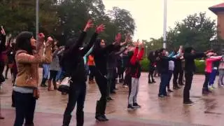 Austin Marriage Proposal
