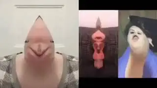 Alexa play lil pump tik tok meme
