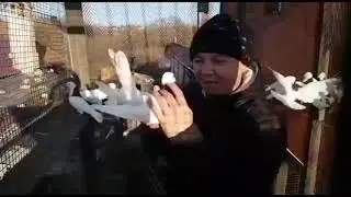 Улица Каспийская