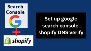 how to set up google search console in shopify with dns verify 2023 ?