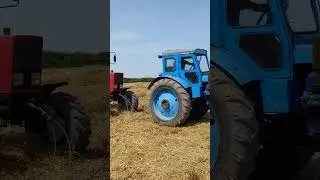 #мтз82