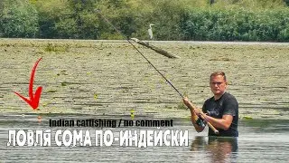 Indian-style CATFISHING in shallow lilies | Wels Catfish