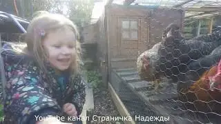 Простая жизнь Простых людей