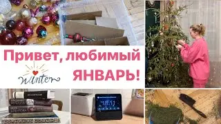 Как начался январь ⭐️Убираю ёлочку ❄️О книгах и моих подарках на Новый год 🎄