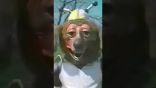plenty of goofy ahh animatronics #shots #animatronics #memes #quandaledingle