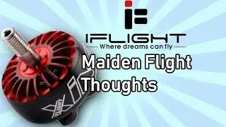 🔥 iFlight Xing 2207 2750kv Maiden Thoughts on 4S