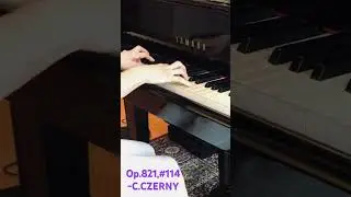 🎹Need the exercise?▶️#114:Op.821,160 Eight measure Exercise- C.CZERNY#shorts #piano