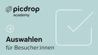 Auswahlen in picdrop – erklärt für Besucher:innen einer Galerie