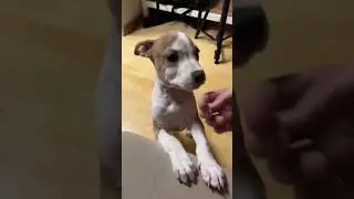 Буквально всё в ней 👀 