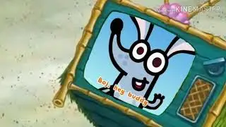 Patrick Hates Boj
