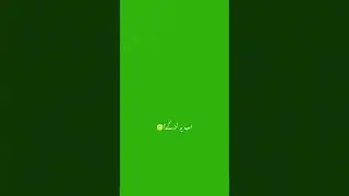 Green Screen Effect For video editing - Green Screen   