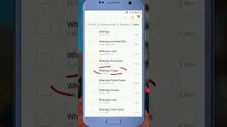 Folder WA tersembunyi  tempat semua data WA