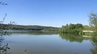 Amay - Lac de la Gravière - de mooiste wandeling voor natuur en vogels