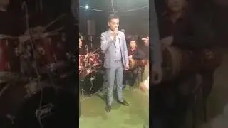 Nodirbek mominov mayhona