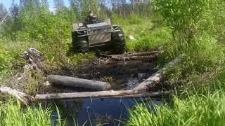 26 июня 2023 г.
