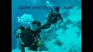 Египет. Дайвинг. Белый остров.