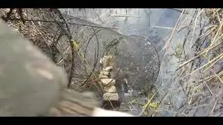РЫБАЛКА НА ВЕРШУ.ЛИНЬ ВЕСНОЙ