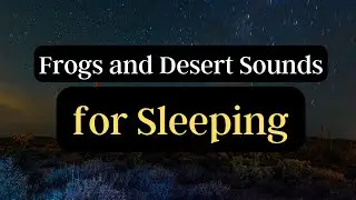 Night time Frogs and Wind Sleep Time Music recorded in Arizona