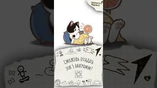 Угадай эти анаграммы #ребусы #игравслова #игравкальмара #тест #iq