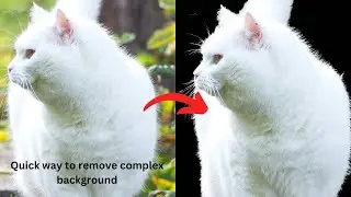 Fast and Easy Background Removal in Photoshop 2024: Step-by-Step Guide for Beginners