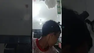 Lagi cari infirasi