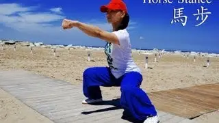 WUSHU TUTORIAL: Horse Stance