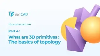 What are 3D Primitives?: The Basics of Topology