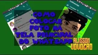 Como colocar fotos na tela principal do WhatsApp