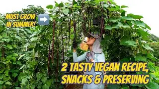 Ep 14: 3 months of long bean growing from seeds. Must grow in 100+ degree Texas weather.🥵