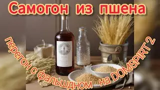 Самогон из пшена на солоде. Перегон густой браги на Домспирт.