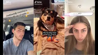 Clean TIK TOK memes to watch when school is cancelled 2021