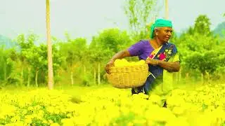 flower farming make by smart photography