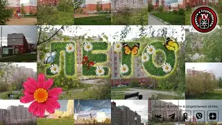 Пришла лето в Скуратово 2024г