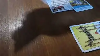 WOW!! ❤️ 🤯 această persoana  va va contacta