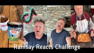 Gordon Ramsay vs TikTok Chefs is Hilarious (Challenge)
